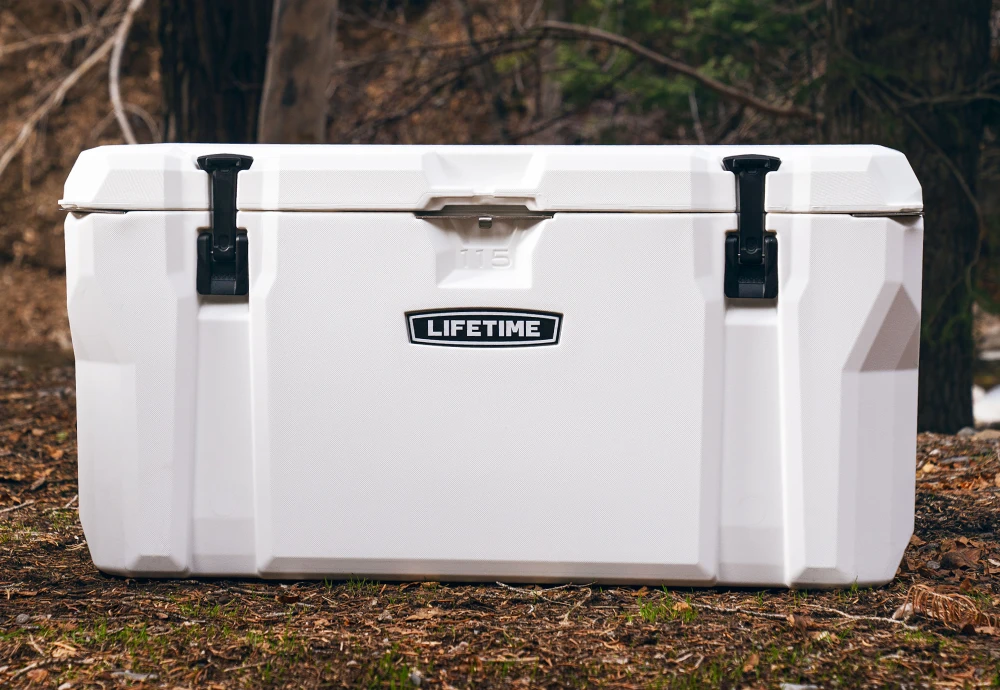 best portable cool box